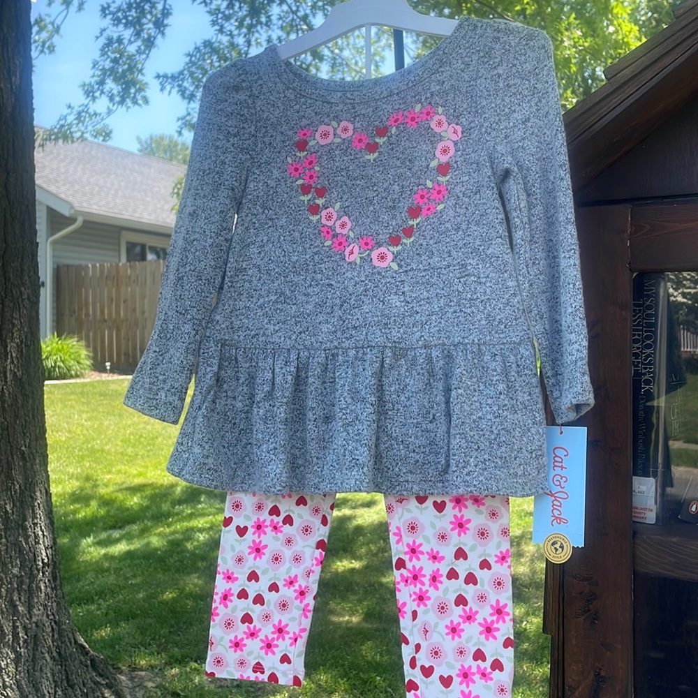 Brand New Cat and Jack Set Size 2T